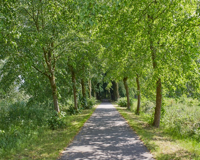 Lekker actief of meer ontspannen